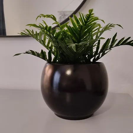 בית אירוח & Keti House וולה לוקה